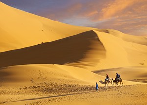 Sahara Desert & Marrakech Tour from Fes